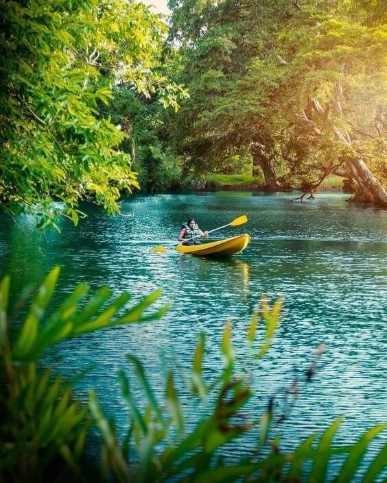 Madu River Boat Safari